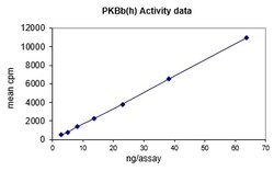 Eurofins DiscoverX Akt2/PKB ( PH, S474D) Protein, Active 250 &mu;g | Buy Online | Eurofins DiscoverX | Fisher Scientific